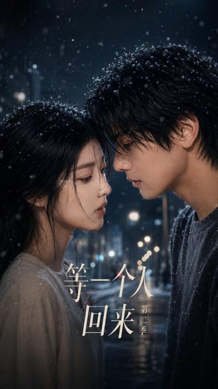 等一个人回来 第二季海报